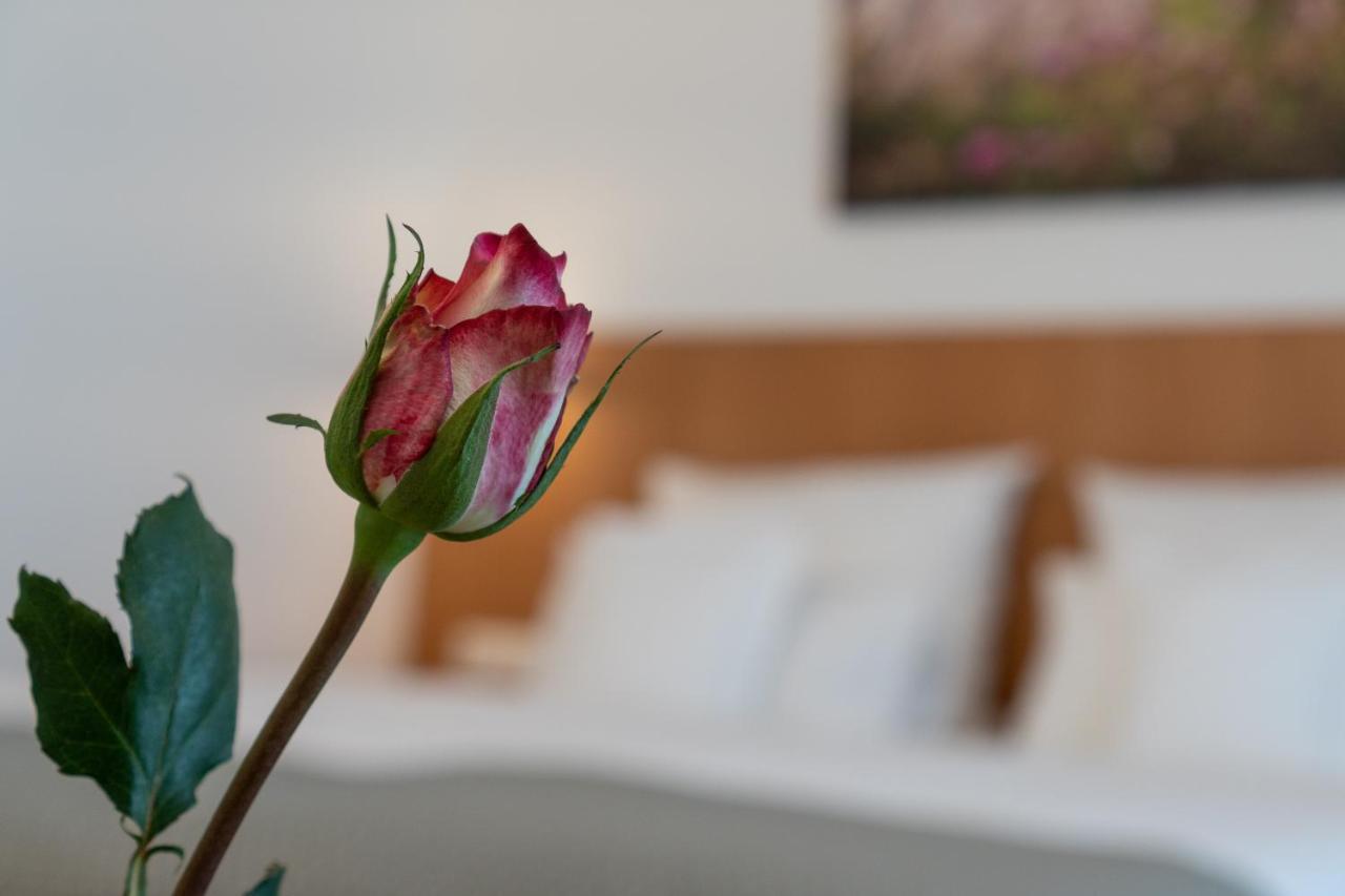 Hotel Elysee Seligenstadt Exteriér fotografie